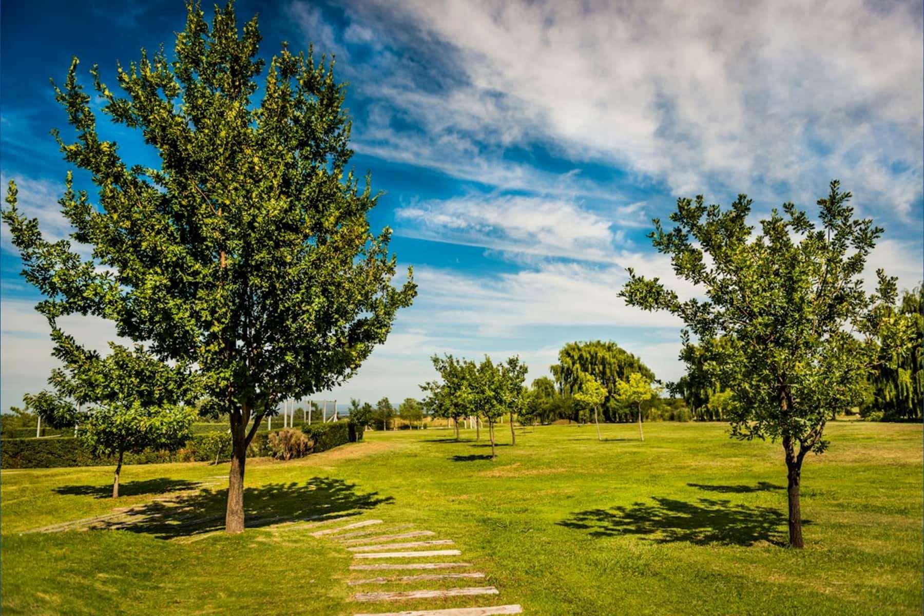 Howard Johnson Resort Spa & Convention Center Villa de Merlo Екстер'єр фото